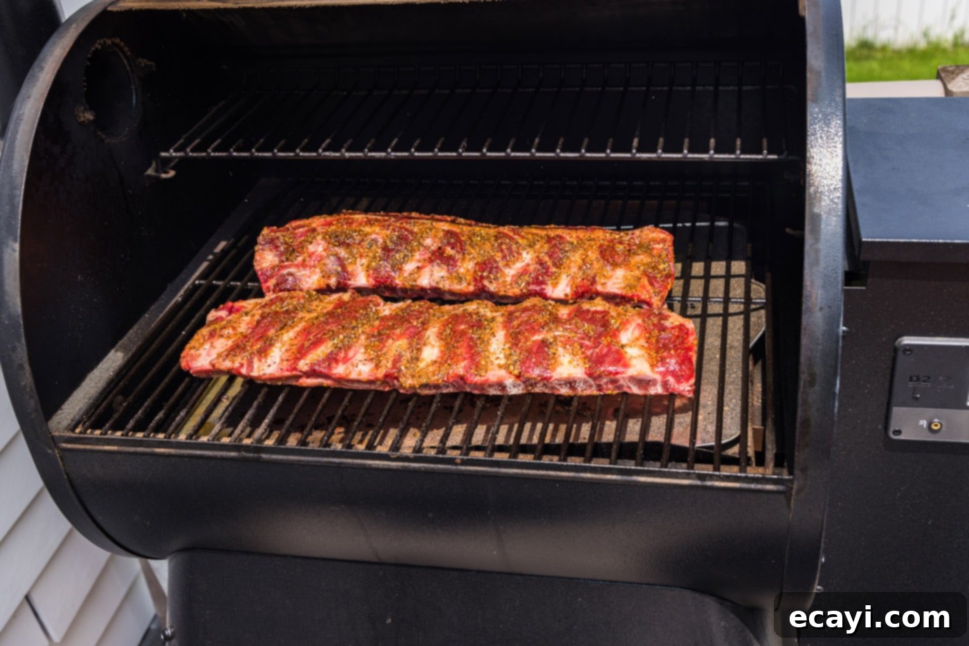 Pitmaster's Smoked Beef Ribs 6 beef ribs on the smoker grates