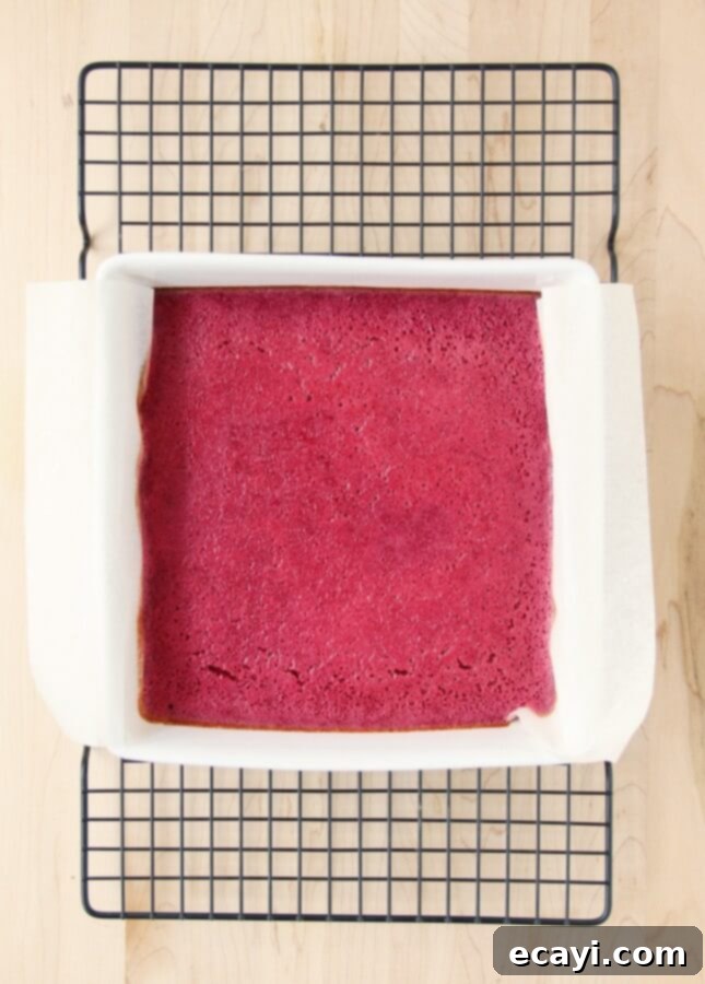 The Ultimate Guide to Fruit Squares: Any Fruit, Any Season 7 Freshly baked fruit squares cooling in the pan.