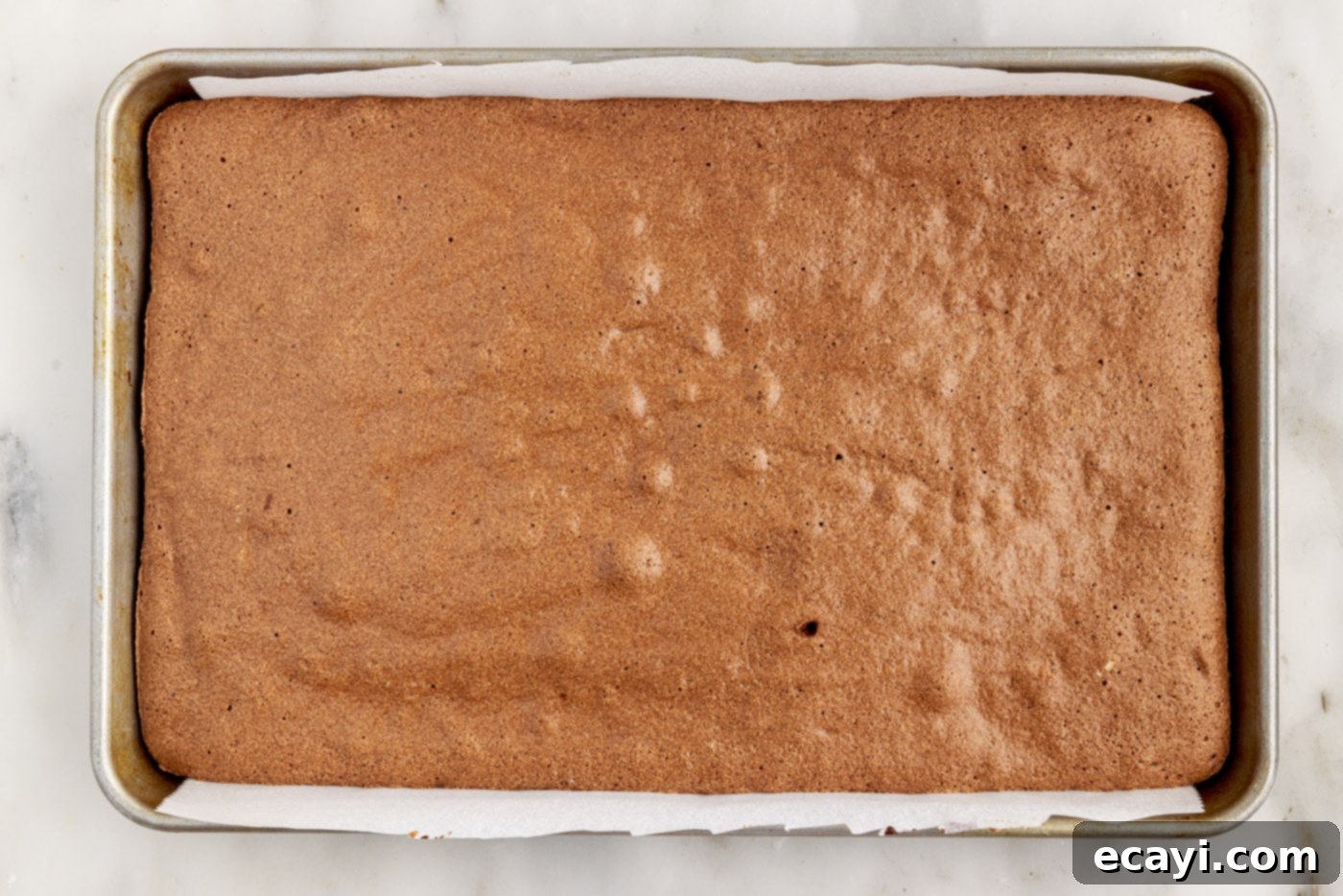 Velvet Chocolate Swirl 13 baked swiss roll cake