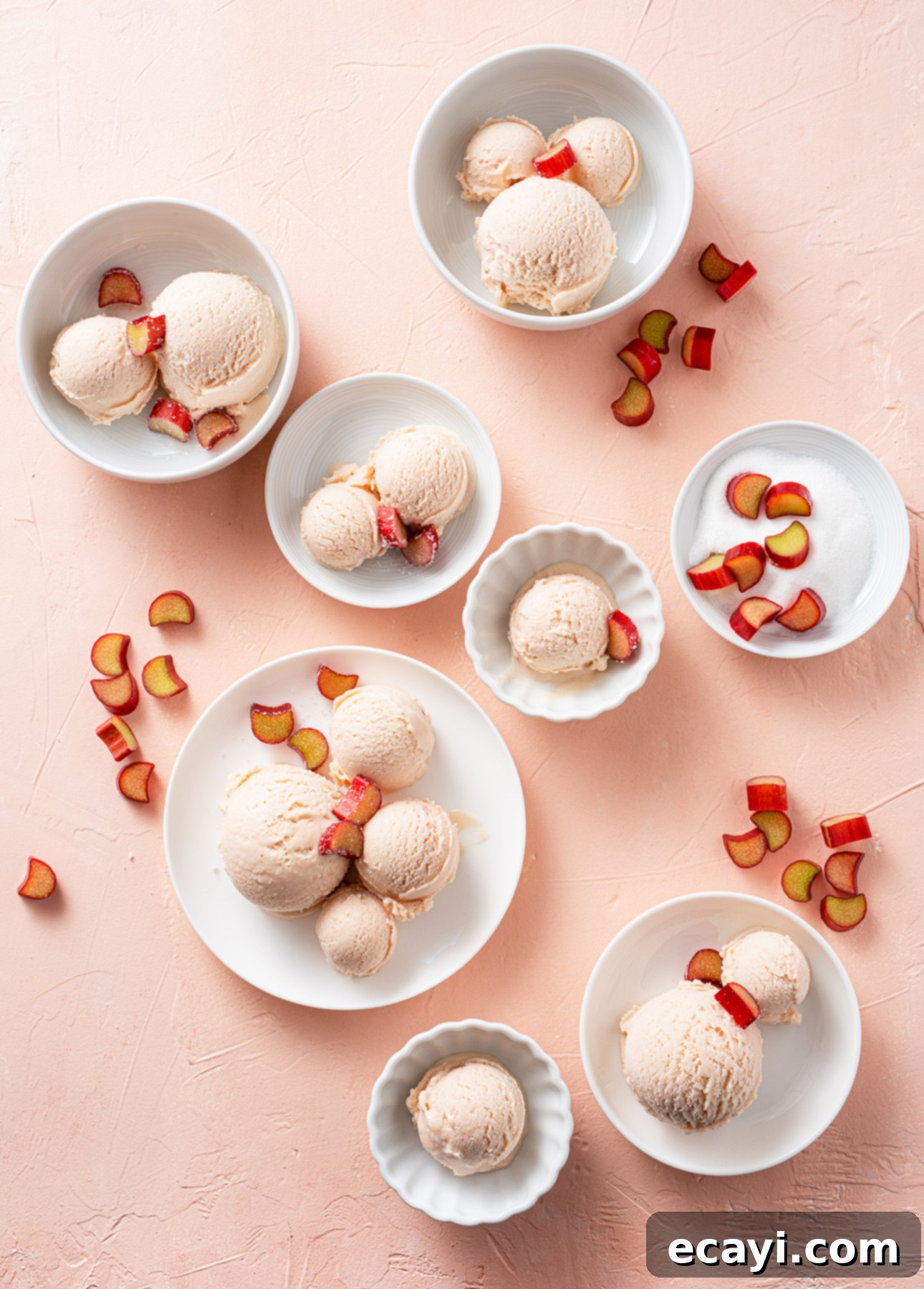 Tangy Rhubarb Gelato 2 Luscious scoops of blush pink Rhubarb Gelato in white dishes, garnished with fresh fruit slices