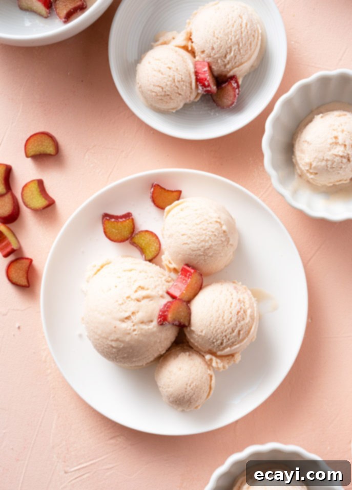 Tangy Rhubarb Gelato 6 Scoops of rhubarb gelato rest on white dishes, elegantly garnished with slices of red and yellow fruit.