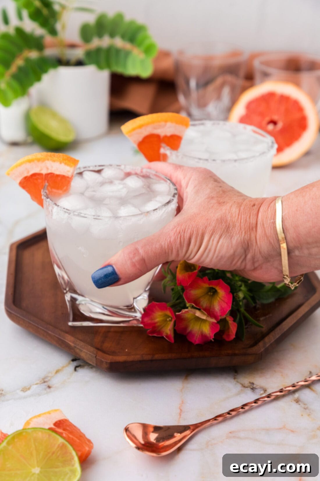 Paloma 3 Hand grabbing a Paloma