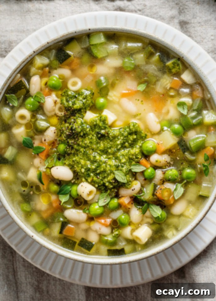 Provençal Pistou Garden Soup 5 Soupe au pistou (French Summer Vegetable Soup) // FoodNouveau.com