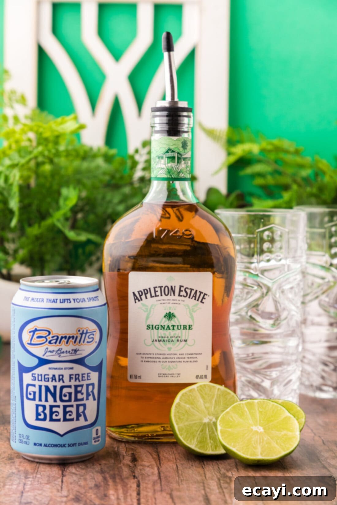 The Kingston Mule 4 Ingredients for Jamaican Mule