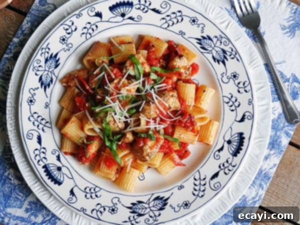 Spiced Chicken and Mezzi Rigatoni 2 An overhead of a plate of spiced chicken and mezzi rigatoni topped with grated Parmigiano-Reggiano cheese and fresh basil.
