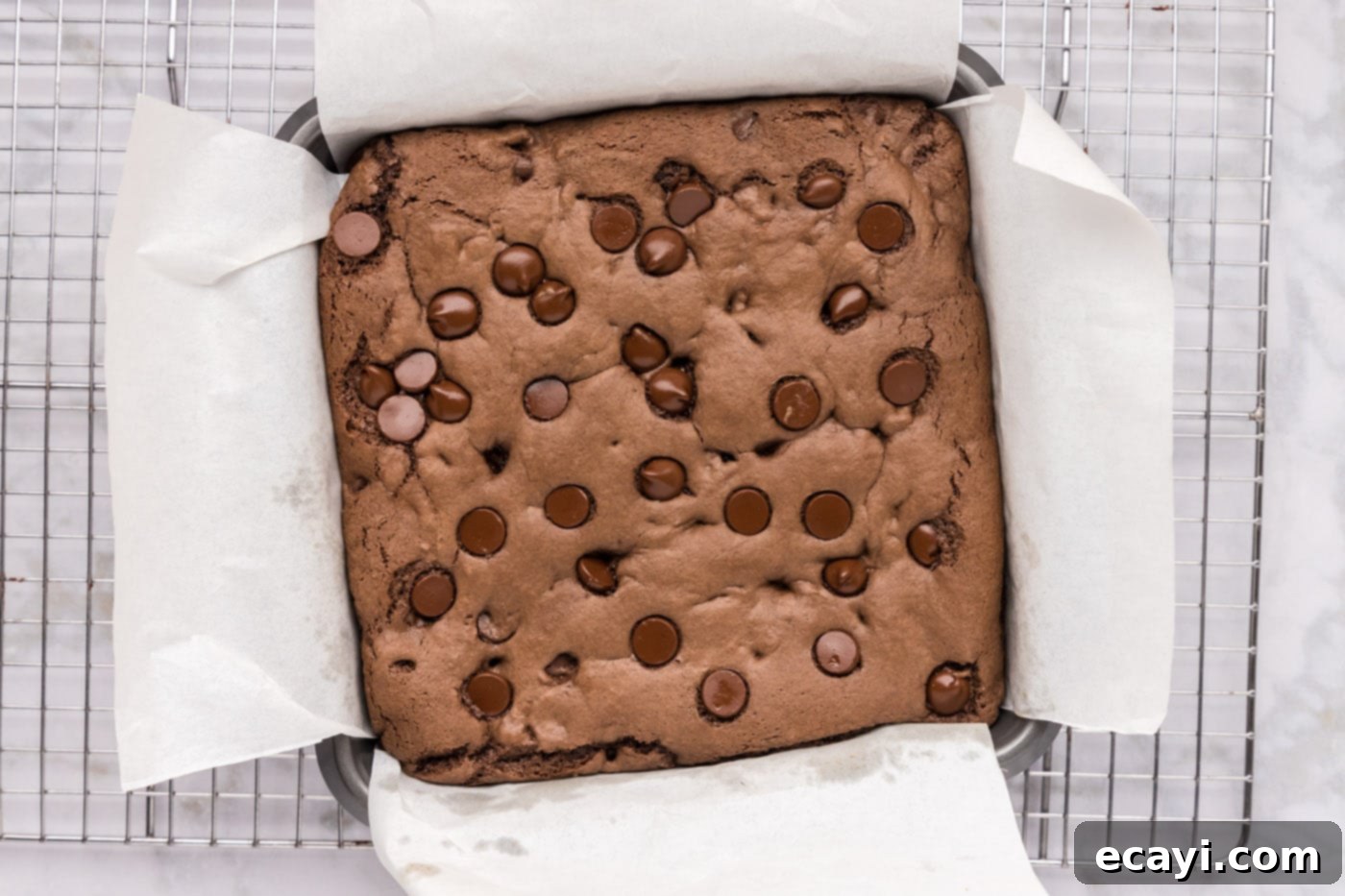 Foolproof Cake Mix Brownies 14 baked cake mix brownies with melted chocolate chips cooling on a rack