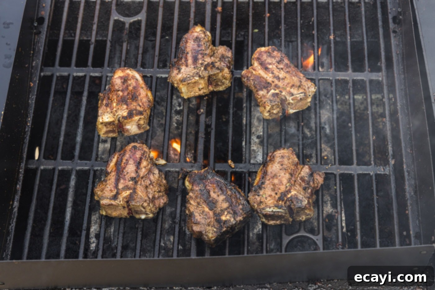 Succulent Grilled Lamb Loin 10 Lamb loin chops cooking on the grill, showing their browning exterior