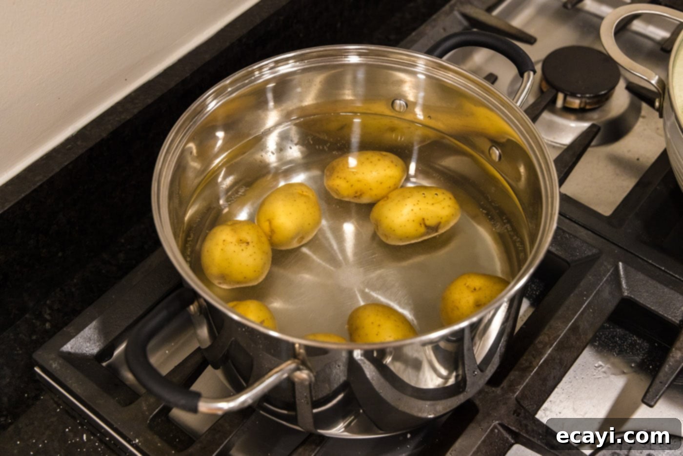 Crispy Smashed Spuds 5 boiling yukon gold potatoes in salted water until tender