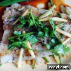 Parchment-Steamed Oriental Fish 13 A close up photo of Chinese style parchment fish on a white plate topped with fresh cilantro.