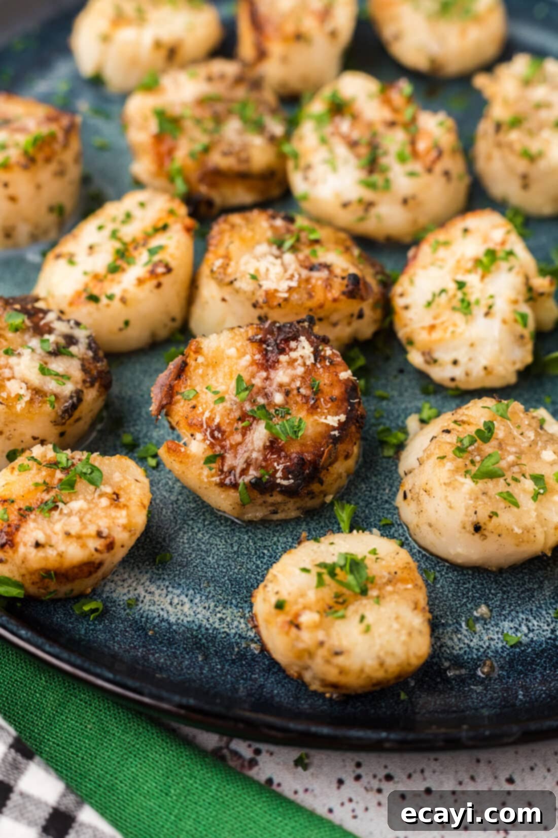 Succulent Grilled Scallops 2 Close up photo of Grilled Scallops