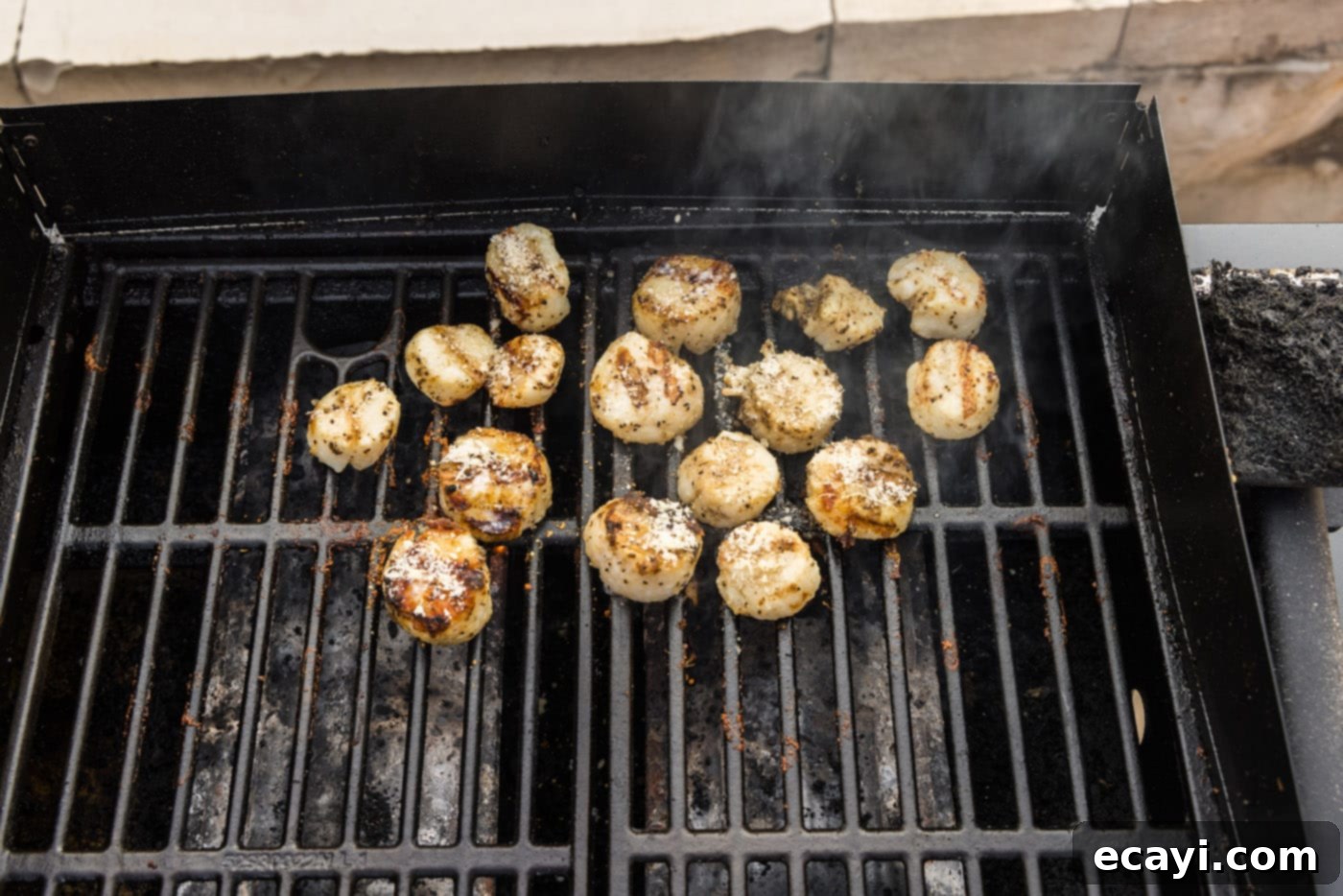 Succulent Grilled Scallops 10 cooked scallops on the grill
