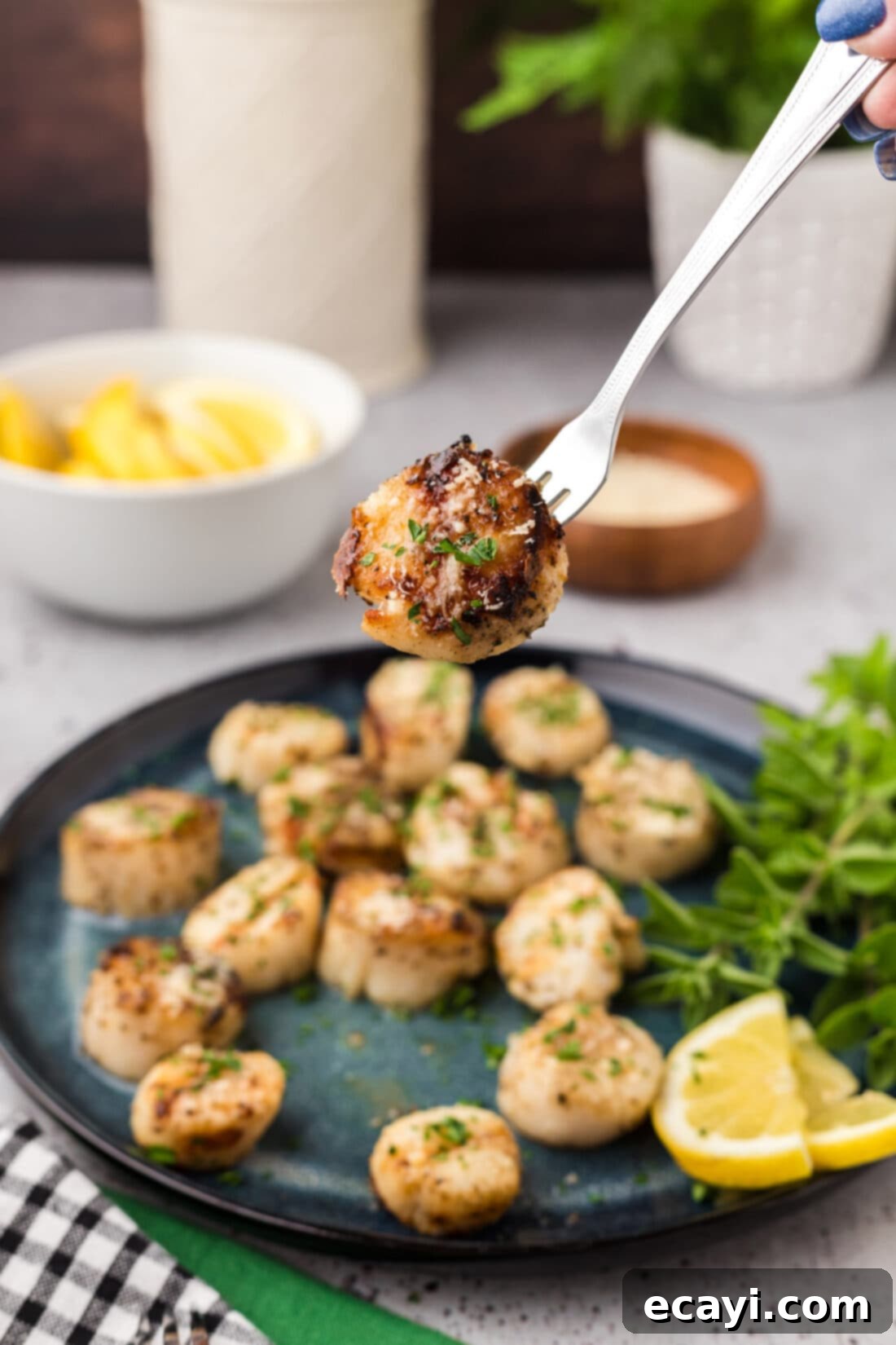 Succulent Grilled Scallops 11 Grilled Scallop on a seafood fork held above a plate of Grilled Scallops