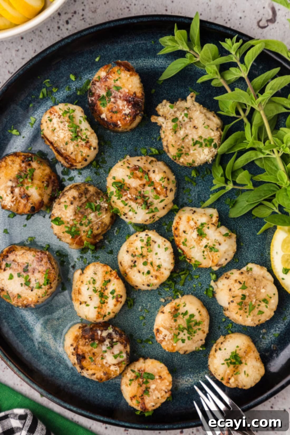 Succulent Grilled Scallops 3 Grilled Scallops on a plate