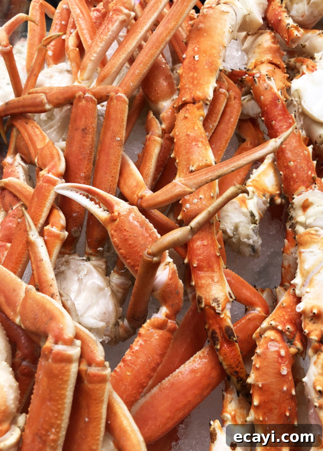 Sweet Corn and Snow Crab Risotto 7 A comparison between snow crab legs, left, and king crab legs, right // FoodNouveau.com