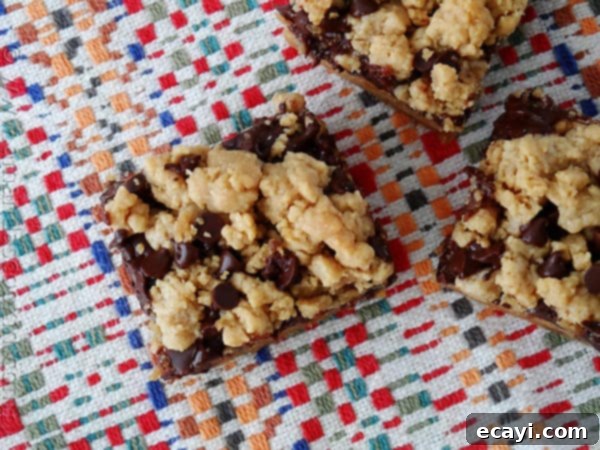 Peanut Butter Chocolate Bliss Bars 3 An overhead photo of peanut butter chocolate layer bars resting on a multicolored napkin.