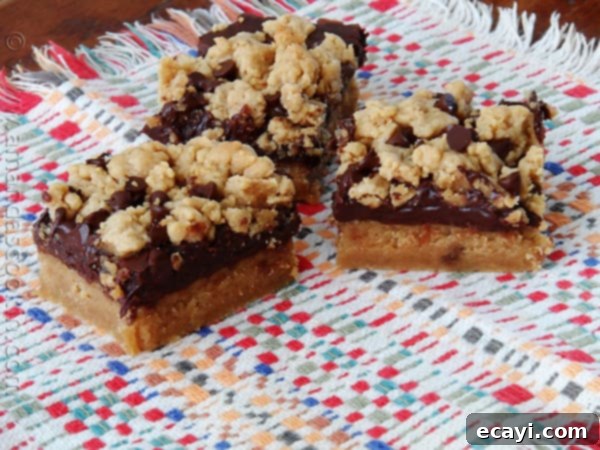 Peanut Butter Chocolate Bliss Bars 5 A photo of three peanut butter chocolate layer bars resting on a multicolored napkin.