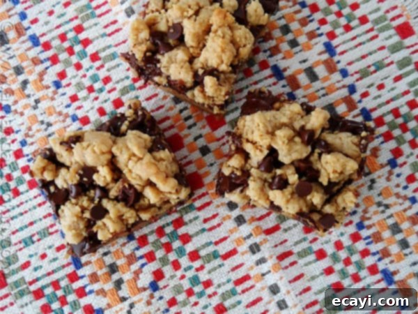 Peanut Butter Chocolate Bliss Bars 7 An overhead photo of three peanut butter chocolate layer bars resting on a multicolored napkin.
