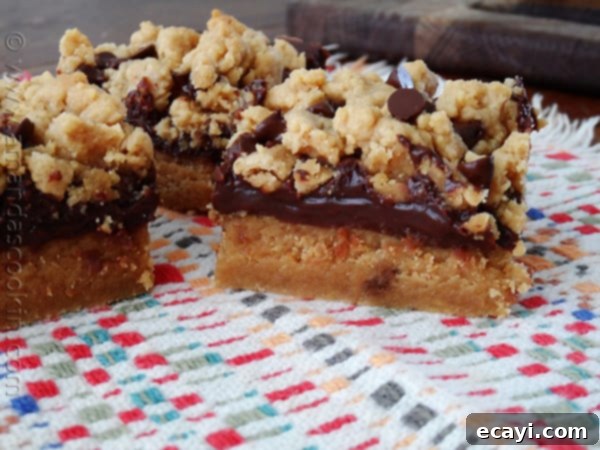 Peanut Butter Chocolate Bliss Bars 8 A close up photo of peanut butter chocolate layer bars resting on a multicolored napkin.