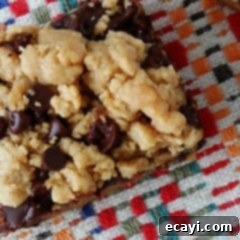 Peanut Butter Chocolate Bliss Bars 9 A close up overhead photo of a peanut butter chocolate layer bar.