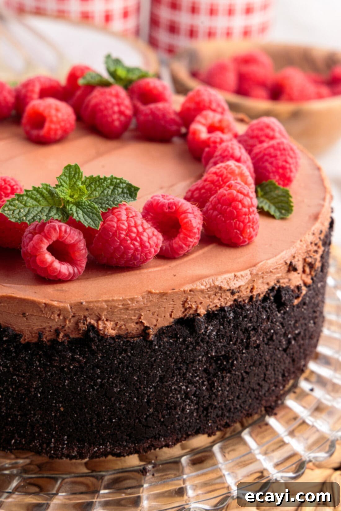 Decadent No-Bake Chocolate Cheesecake 2 Close up photo of a No Bake Chocolate Cheesecake