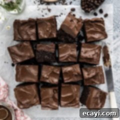 Decadent Espresso Fudge Brownies 12 Close up photo of Fudge Frosted Espresso Brownies cut into squares, showcasing the rich texture and delicious frosting