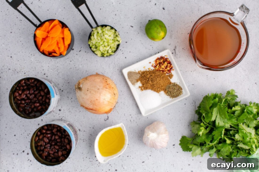 Savory Black Bean Delight 4 A vibrant flat lay photo displaying all the fresh ingredients for black bean soup, including canned beans, various chopped vegetables like onions, carrots, celery, garlic, and an assortment of spices.