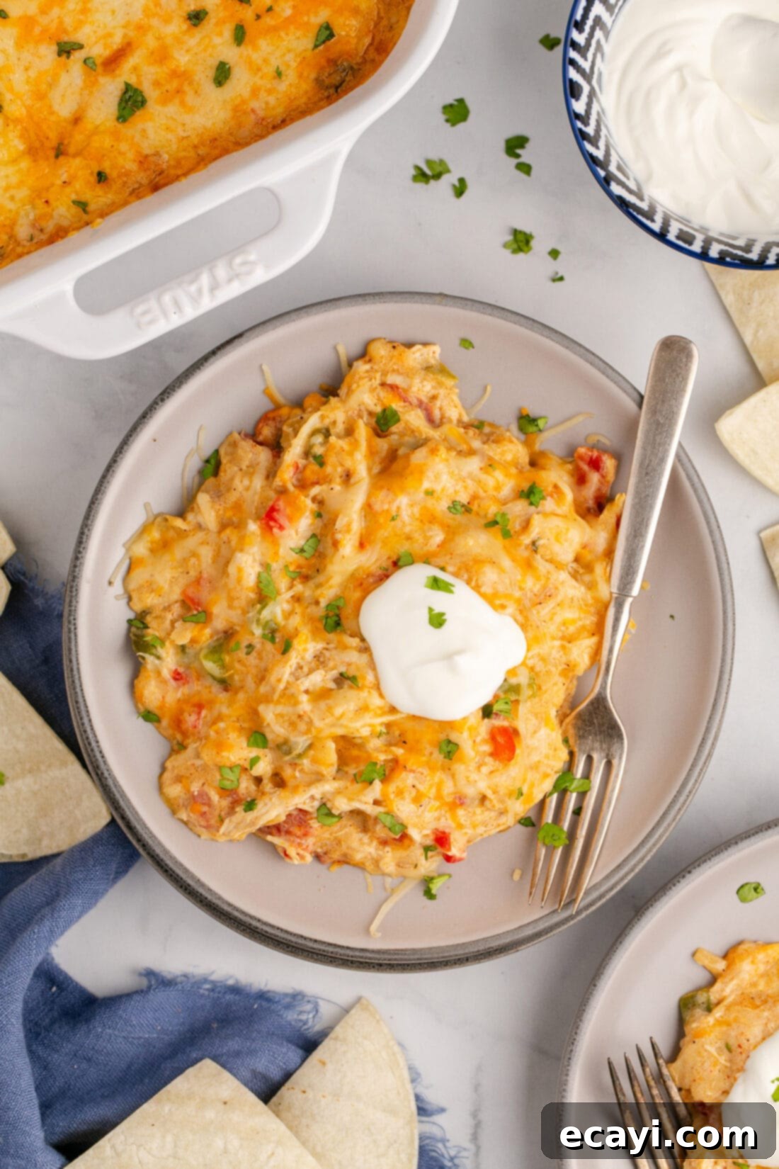 Comforting King Ranch Chicken Casserole 16 Overhead shot of a plate of King Ranch Chicken Casserole, garnished and ready to eat.