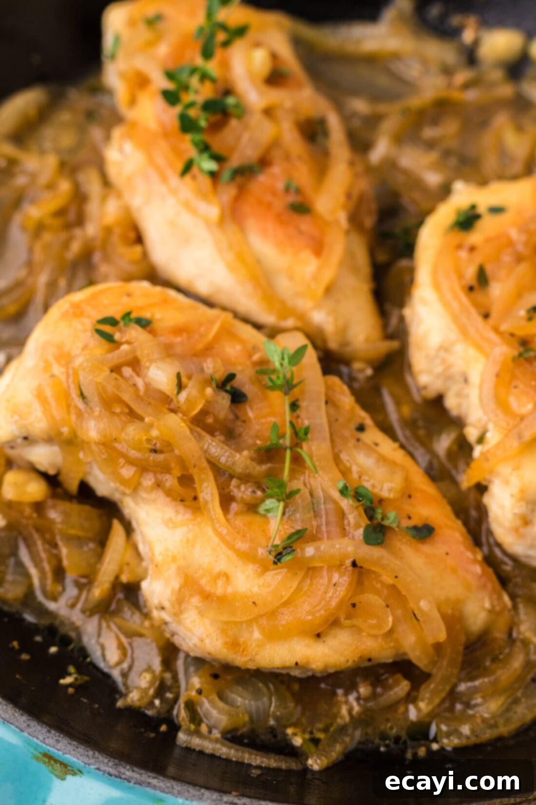 Savory Onion-Thyme Chicken 3 Close up photo Chicken with Onion Thyme Sauce in a skillet