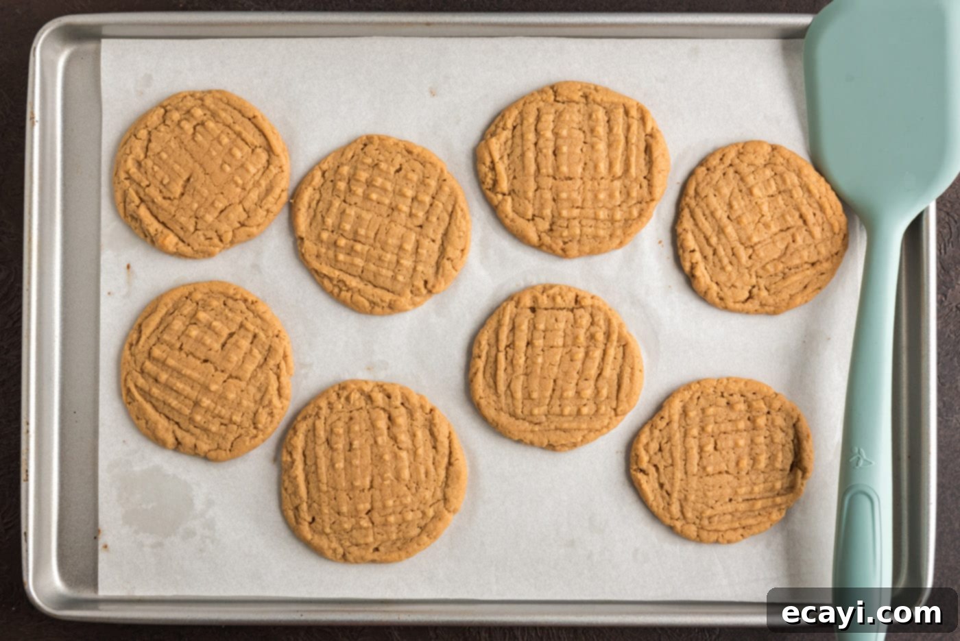 Spooky Spider Cookies 12 baked peanut butter cookies on a baking sheet