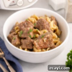 Homestyle Beef Noodles 17 Bowl of Beef and Noodles, garnished and ready to serve