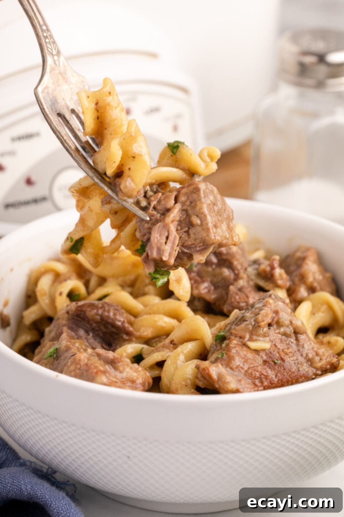 Homestyle Beef Noodles 3 A fork lifting a delicious bite of Beef and Noodles out of a bowl, showing the tender beef and creamy sauce