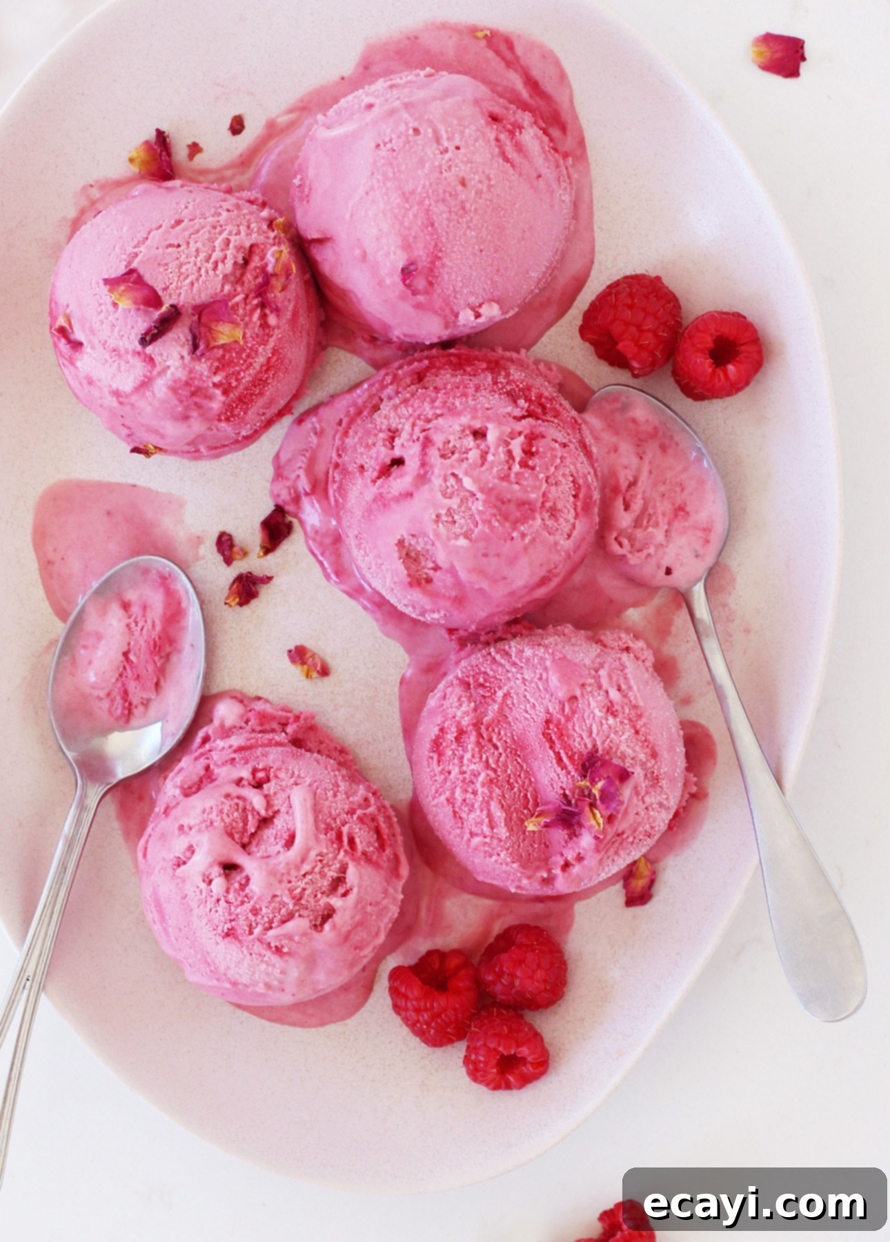 Dairy-Free Vegan Sicilian-Style Gelato Video Recipe 5 Scoops of pink raspberry gelato rest on an oval plate, garnished with rose petals and fresh raspberries. Two spoons are poised beside the gelato, while a few raspberries are scattered artfully on the plate. // FoodNouveau.com