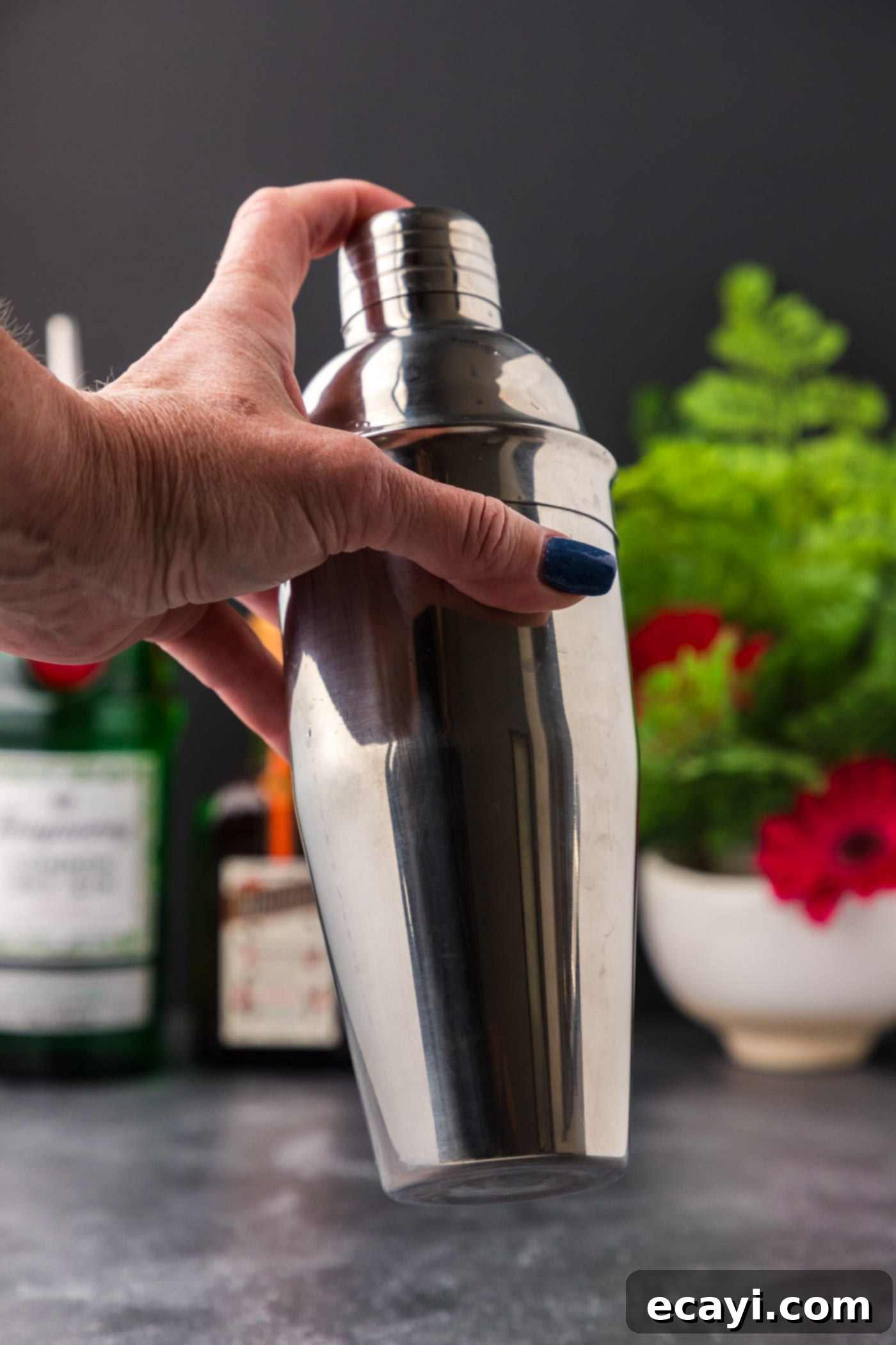 Moonlit Whisper 6 shaking cocktail shaker