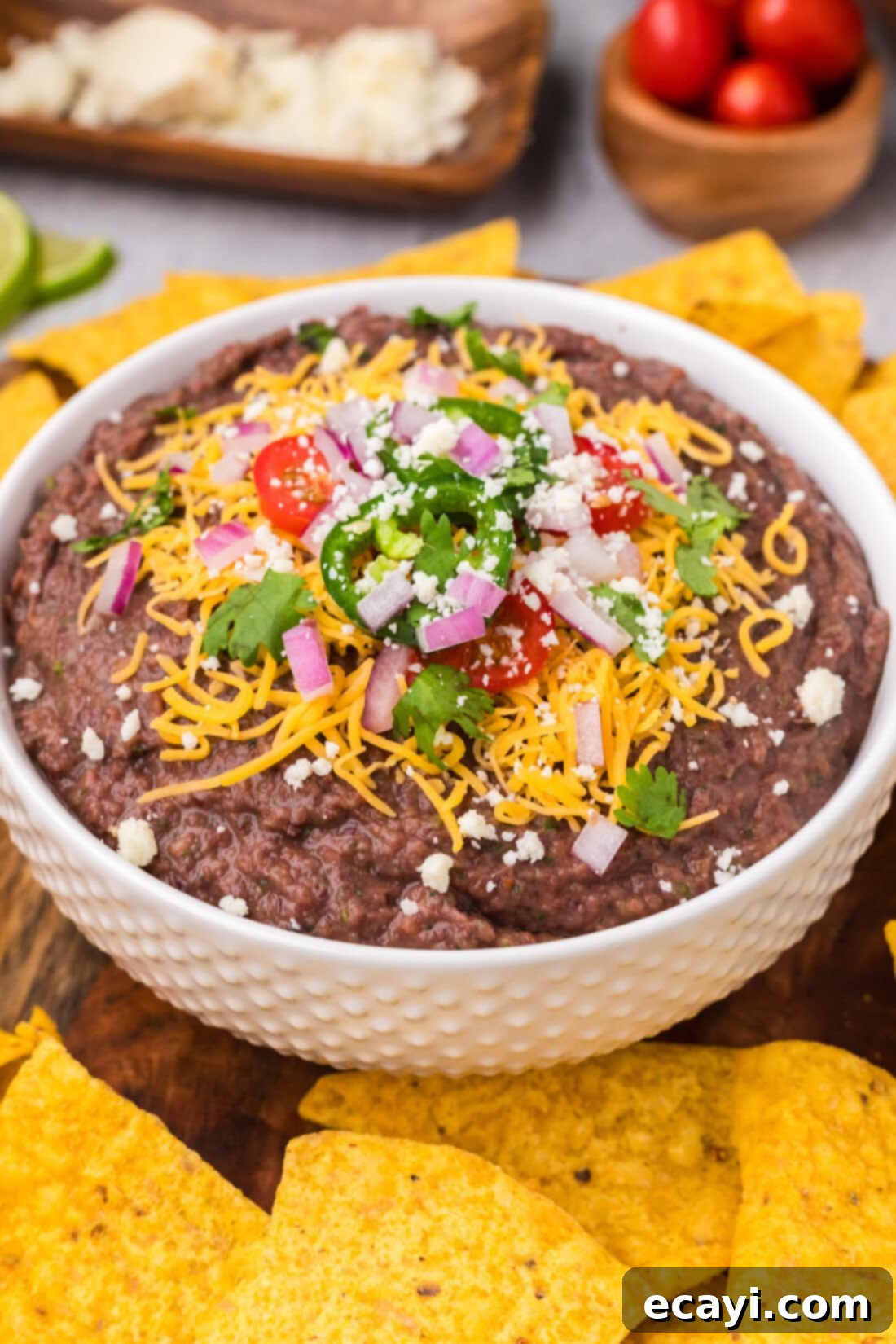 Zesty Black Bean Dip 2 Close up photo of a bowl of Black Bean Dip surrounded by tortilla chips