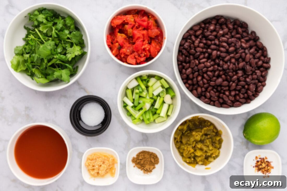 Zesty Black Bean Dip 4 Ingredients for Black Bean Dip