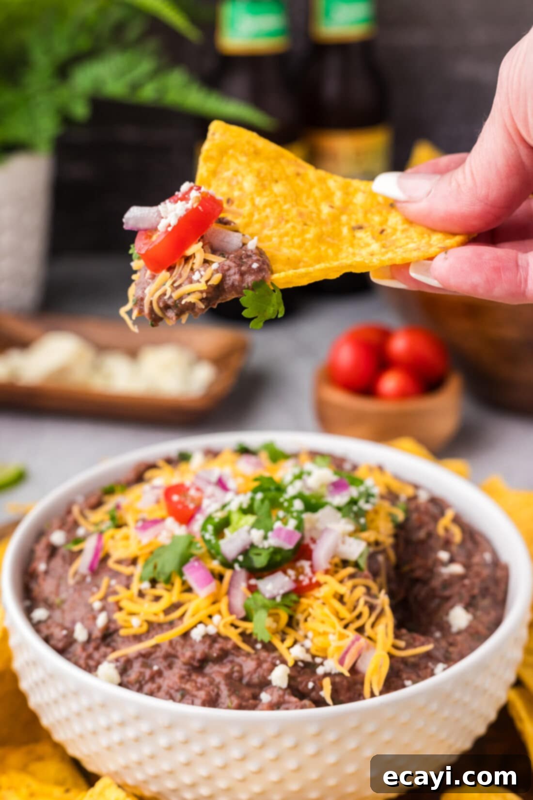 Zesty Black Bean Dip 8 Black Bean Dip on a tortilla chip held above a bowl of Black Bean Dip