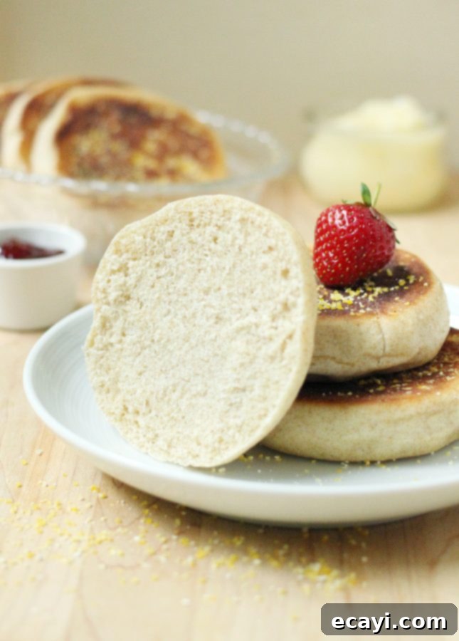 Bake Your Own Whole Wheat English Muffins 11 A close-up of a split whole wheat English muffin, showing its internal texture, ready to be toasted.