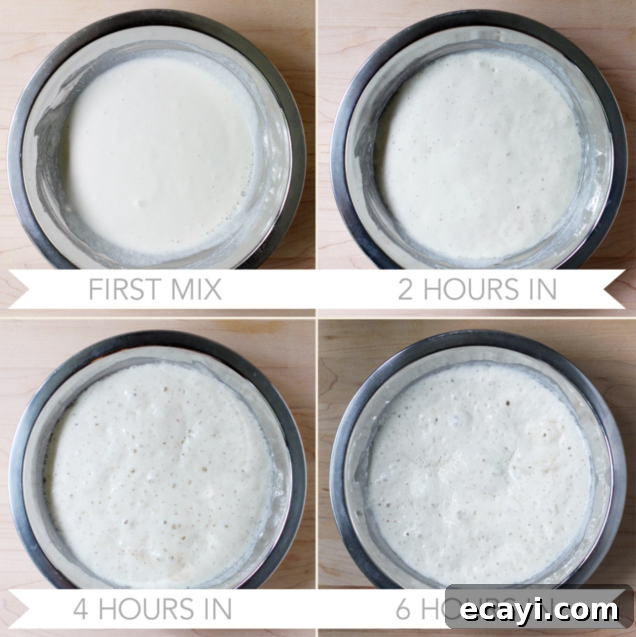 Bake Your Own Whole Wheat English Muffins 5 Image showing the bubbly starter mixture for whole wheat English muffins, a key step for flavor and rise.