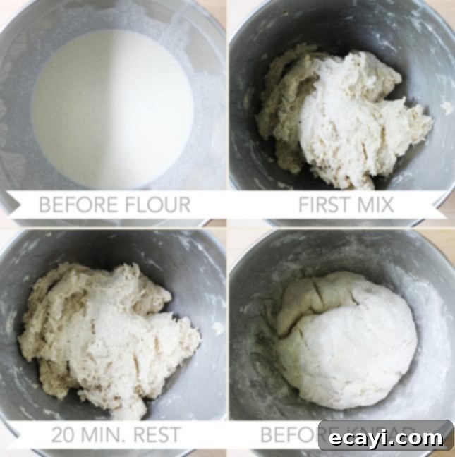 Bake Your Own Whole Wheat English Muffins 6 Image showing the dough being mixed for whole wheat English muffins, highlighting its texture.