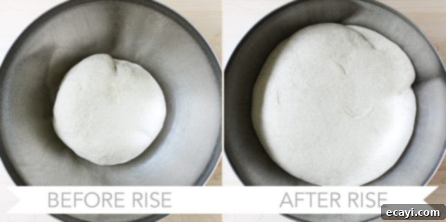 Bake Your Own Whole Wheat English Muffins 7 English muffin dough rising in a bowl, showing the increase in volume.