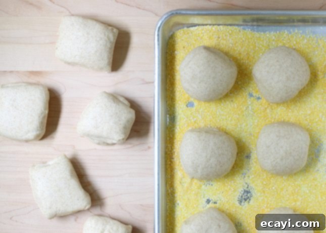 Bake Your Own Whole Wheat English Muffins 8 English muffin dough portions rolled and flattened on a baking sheet, dusted with cornmeal.