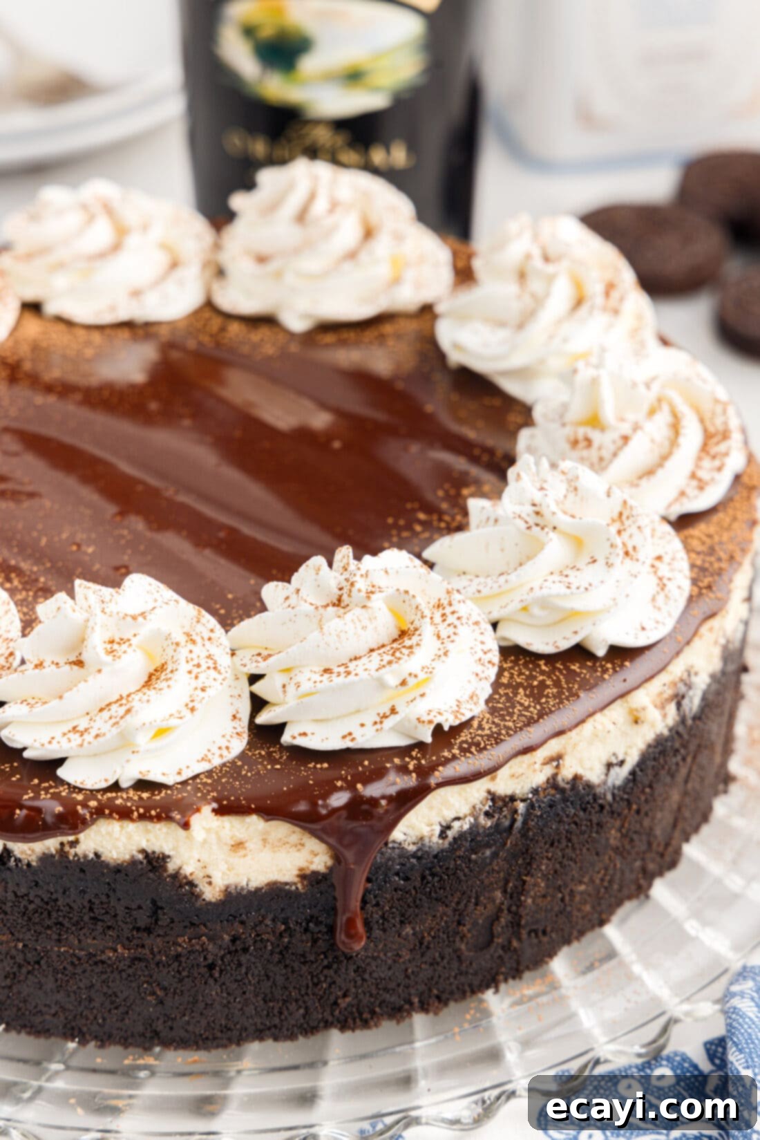 Irresistible Baileys Cheesecake 18 Close up photo of a Baileys Cheesecake