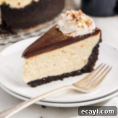 Irresistible Baileys Cheesecake 19 Slice of Baileys Cheesecake on a plate with a fork