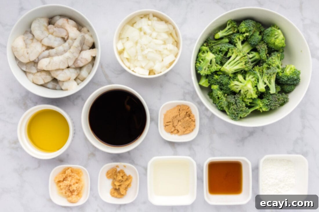 Garlic Shrimp & Broccoli Sauté 4 A flat lay of all fresh ingredients for Shrimp and Broccoli stir fry: shrimp, broccoli, soy sauce, ginger, garlic, onion, and more