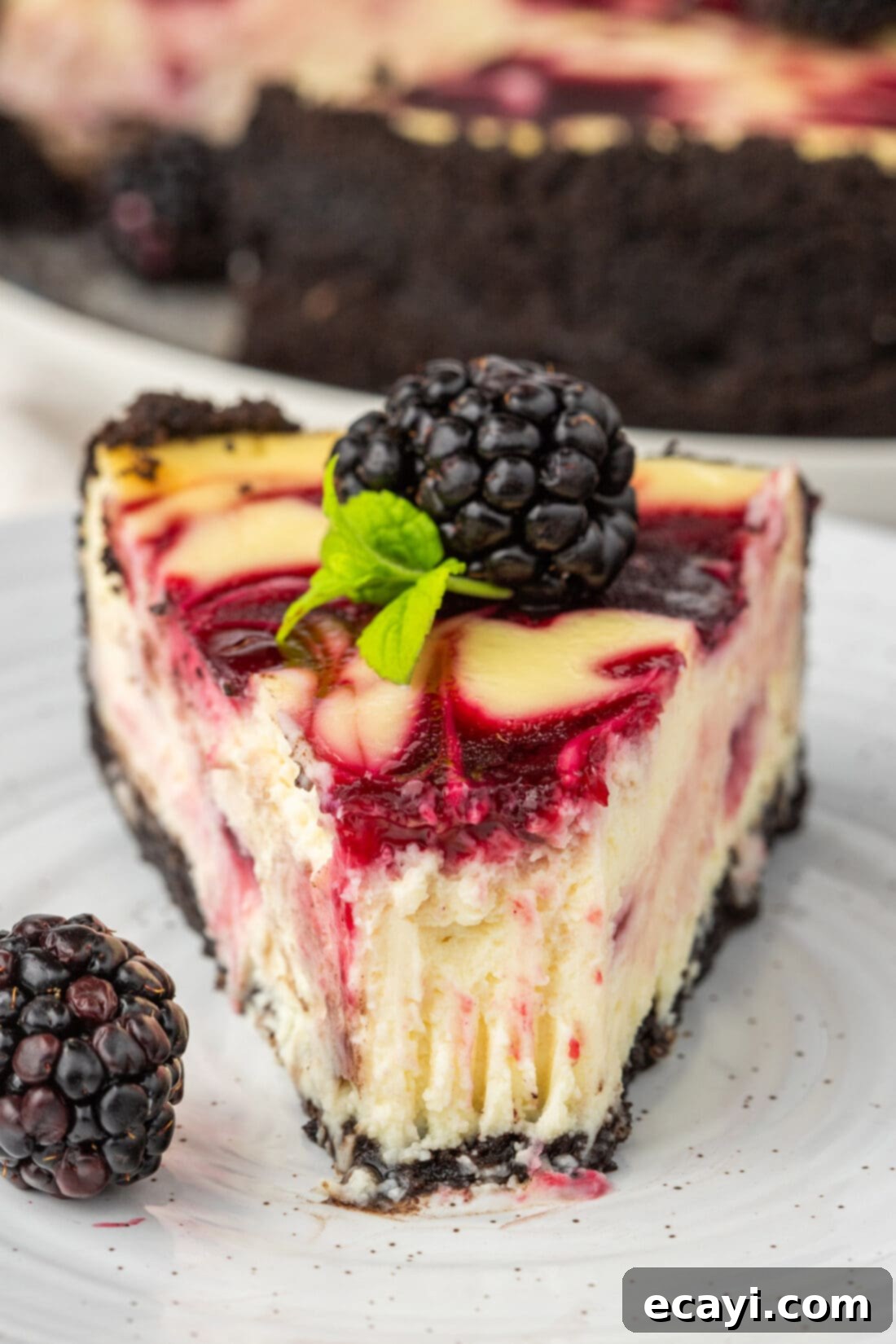 Blackberry Swirl Cheesecake 3 Slice of Blackberry Swirl Cheesecake on a plate with a bite taken out