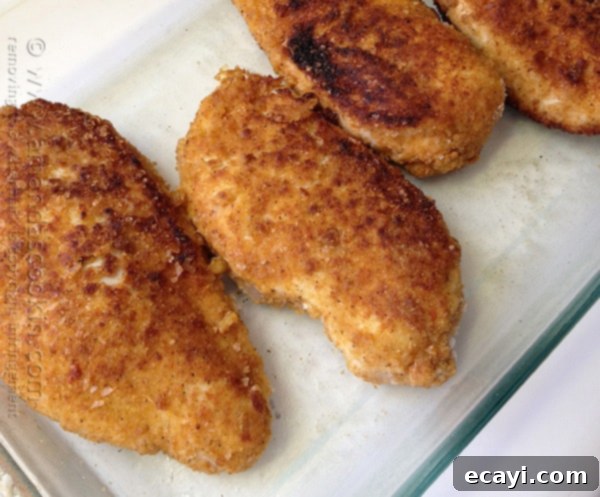 Golden-Crisp Oven Chicken Breasts 11 A close up photo of oven fried chicken breasts, golden and crispy, fresh out of the oven in a baking dish.
