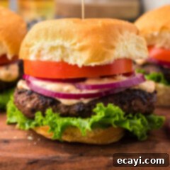 Premium Bison Burger 13 Close up photo of a Buffalo Burger