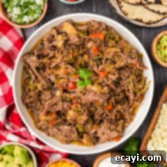 Golden Crispy Beef Carnitas 13 Bowl of Beef Carnitas, ready to be served in tacos or bowls