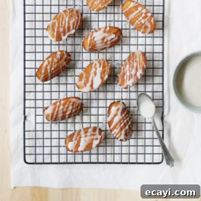 Maple Kissed Pumpkin Spice Madeleines 4 A charming display of Pumpkin Madeleines, some glazed, some plain, evoking the warmth and deliciousness of fall baking.