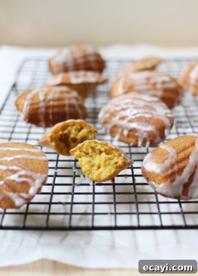 Maple Kissed Pumpkin Spice Madeleines 5 A close-up shot of a single Pumpkin Madeleine, exquisitely glazed, inviting a tempting bite of fall flavor.